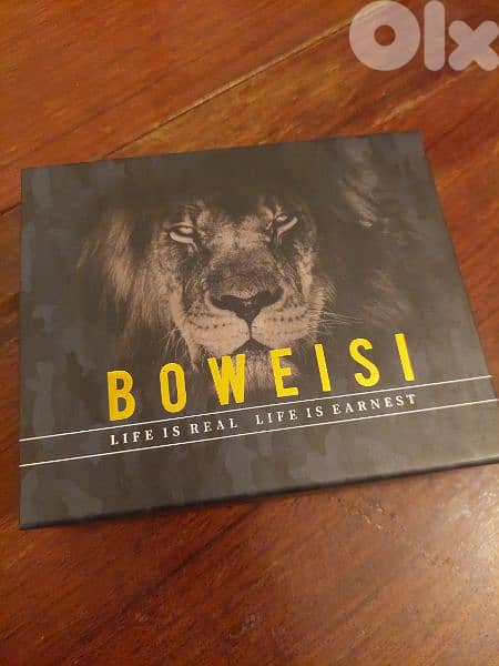 Boweisi wallet 1