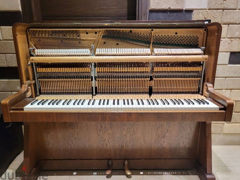 Fibich (Petrof) Upright Piano 3