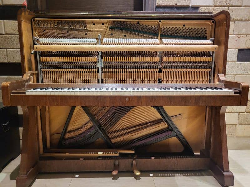 Fibich (Petrof) Upright Piano 5