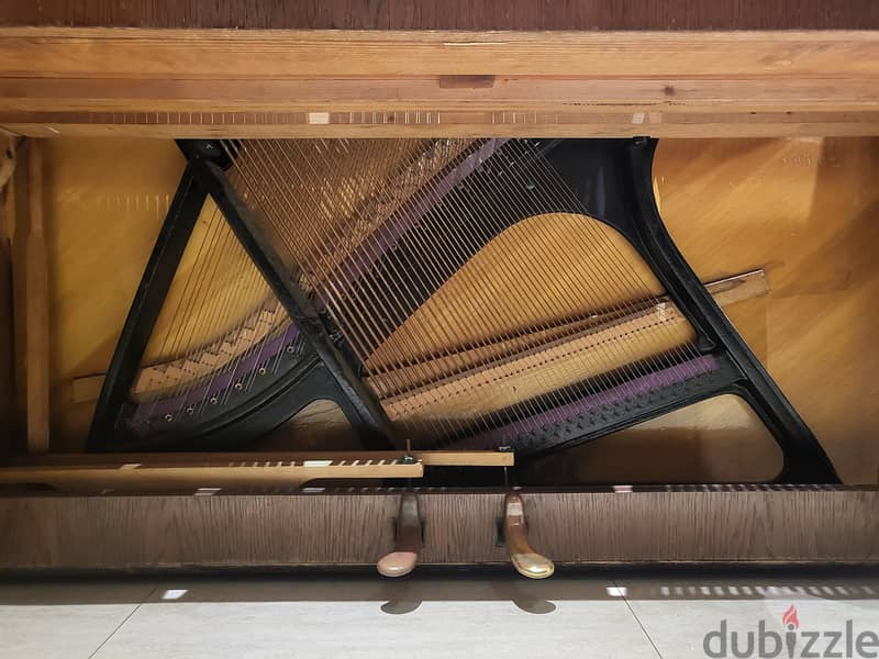 Fibich (Petrof) Upright Piano 6