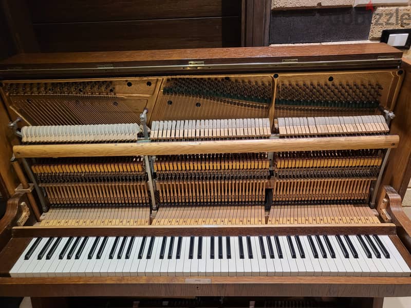 Fibich (Petrof) Upright Piano 7
