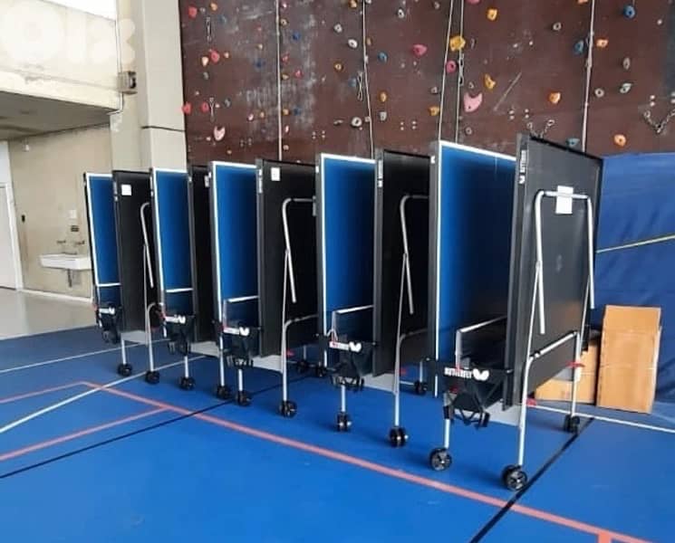 Butterfly Indoor Personal Roller (19 mm surface thickness) 4