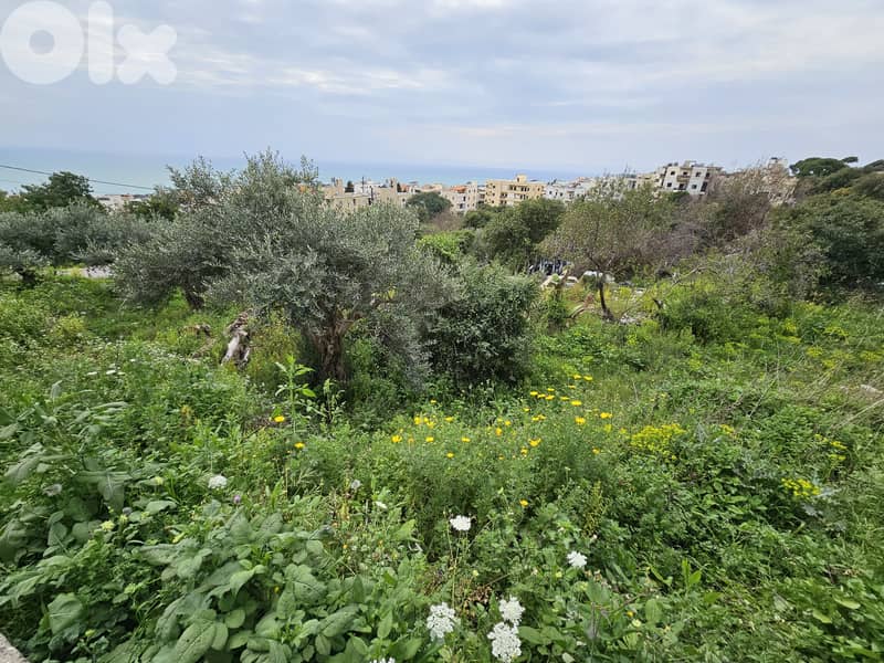 RWB288MT - Land for sale in Amchit Jbeil 0