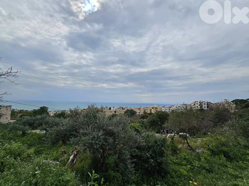 RWB288MT - Land for sale in Amchit Jbeil 1