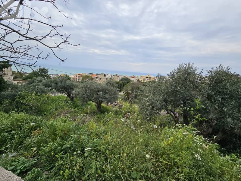 RWB288MT - Land for sale in Amchit Jbeil 2