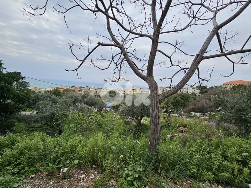 RWB288MT - Land for sale in Amchit Jbeil 3