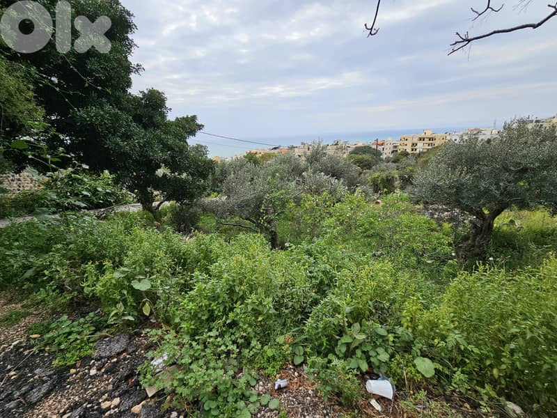 RWB288MT - Land for sale in Amchit Jbeil 4