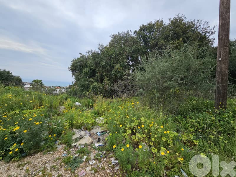 RWB288MT - Land for sale in Amchit Jbeil 5