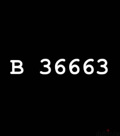 B 36663  call 81/006100