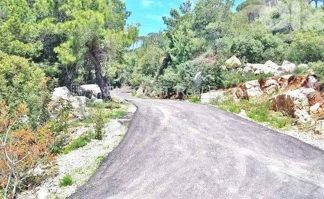 Beautiful Land | Green Neighborhood | Easy Access 2