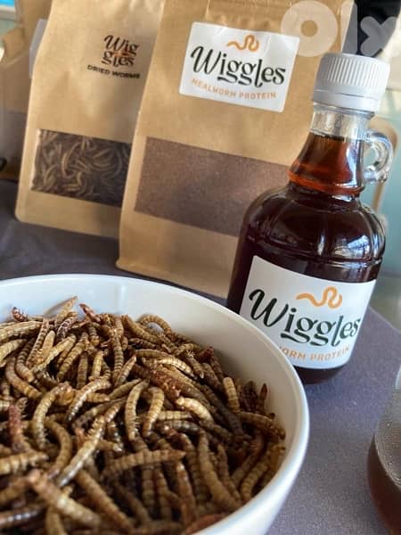 زيت الدود القبابي mealworm oil 0