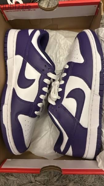 Court purple dunks size 42 brand new 2