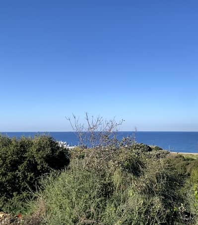 Land for sale in Kfarabida - Batroun ارض للبيع في كفرعبيدا - البترون