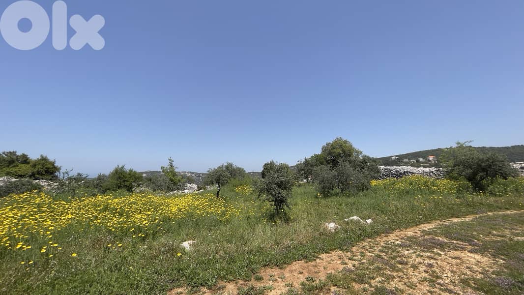 RWB148CA - Land for sale in Bejjeh Jbeil 0