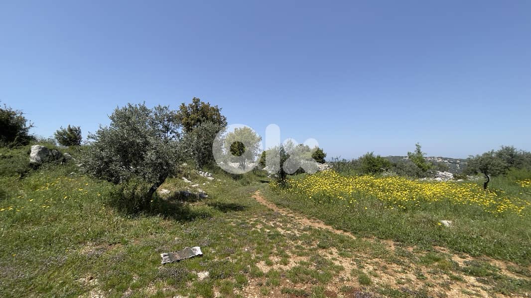RWB148CA - Land for sale in Bejjeh Jbeil 1