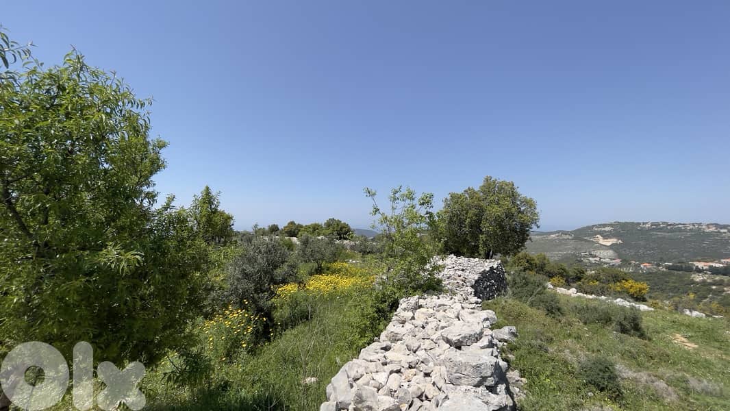RWB148CA - Land for sale in Bejjeh Jbeil 2