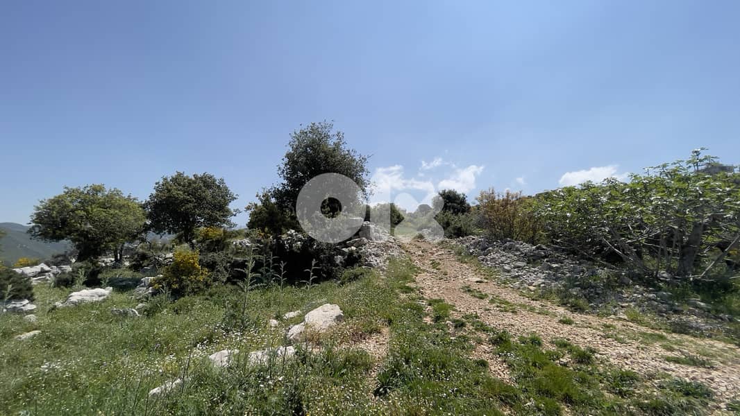 RWB148CA - Land for sale in Bejjeh Jbeil 3