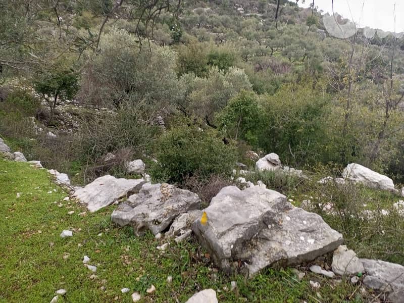 RWB148CA - Land for sale in Bejjeh Jbeil 6