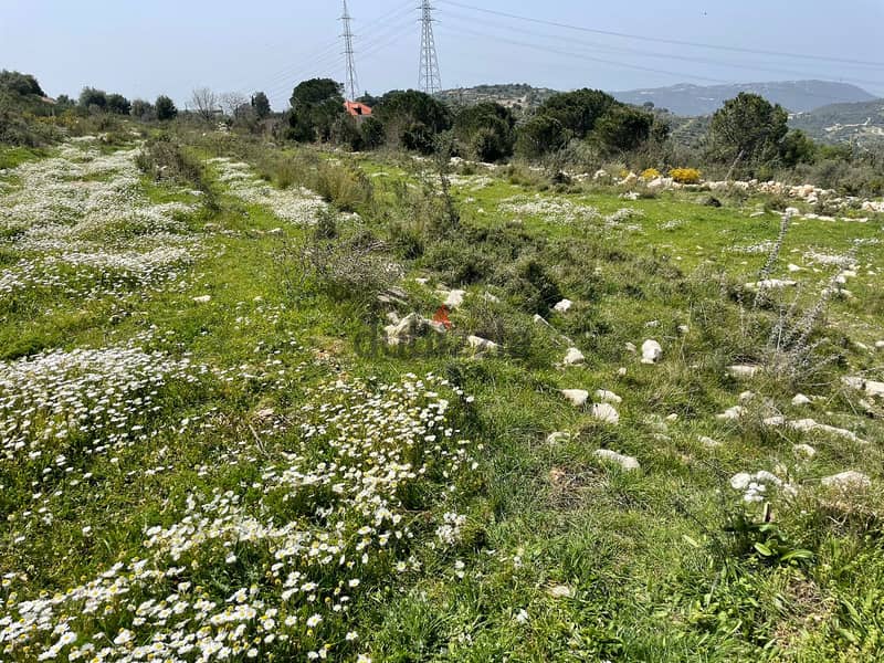 Land for sale in El Kherbe-Jbeil ارض للبيع في الخاربة-جبيل 1