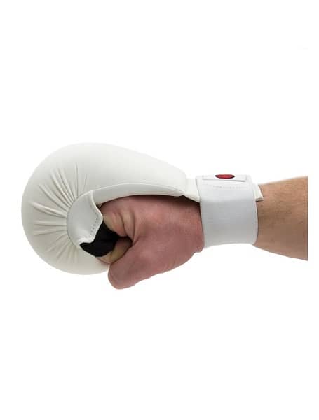 Adidas Original Boxing Gloves 1