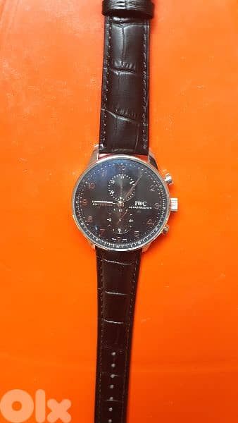 International Watch Company 17