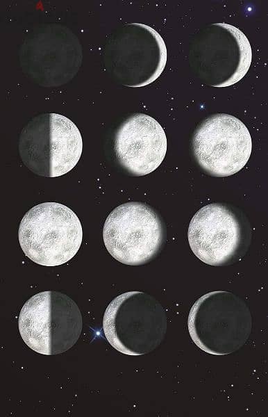 My Very Own Moon Brand : Brain Storm (UK) 1