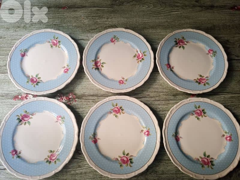 high quality ceramic plates 5