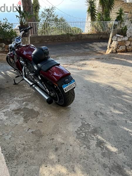 vrod muscle 1250cc 1