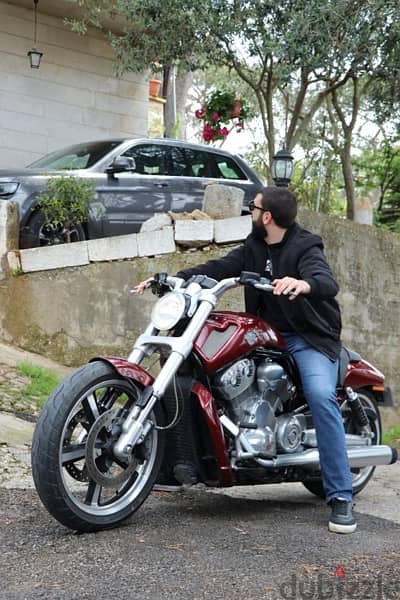 vrod muscle 1250cc 2