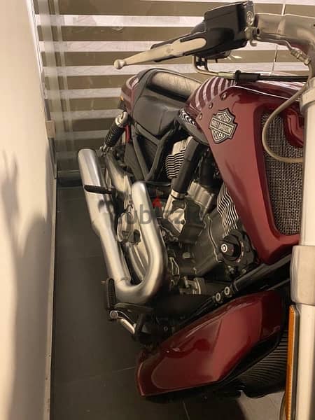 vrod muscle 1250cc 5