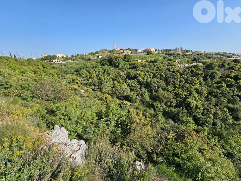 RWB297MT - Land for sale in Shmout Jbeil 1