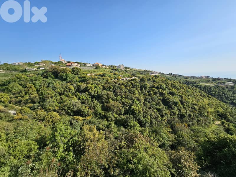RWB297MT - Land for sale in Shmout Jbeil 3