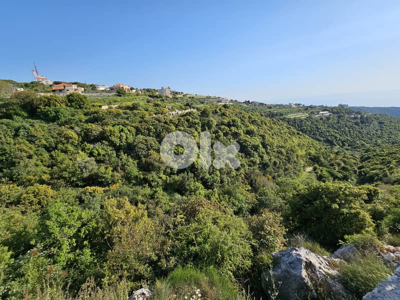 RWB297MT - Land for sale in Shmout Jbeil 4
