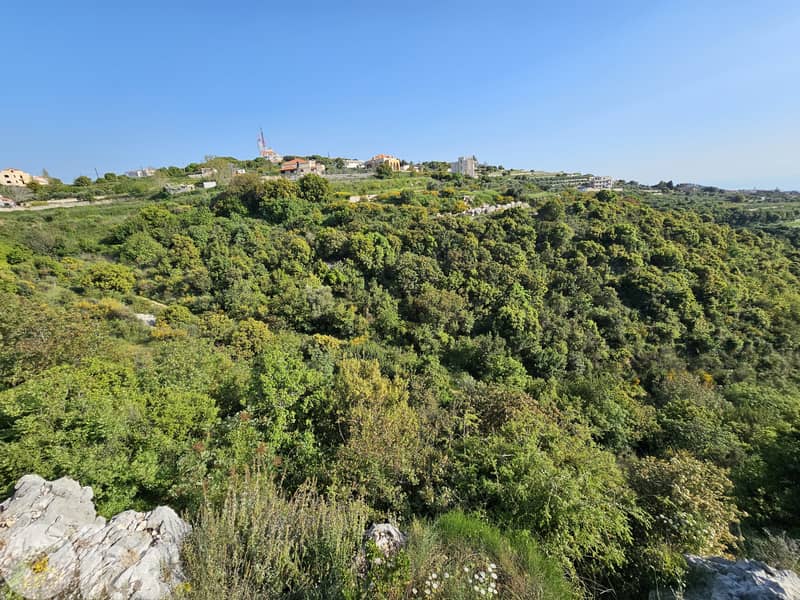 RWB296MT - 5,400sqm Land for sale in Maad Jbeil 1