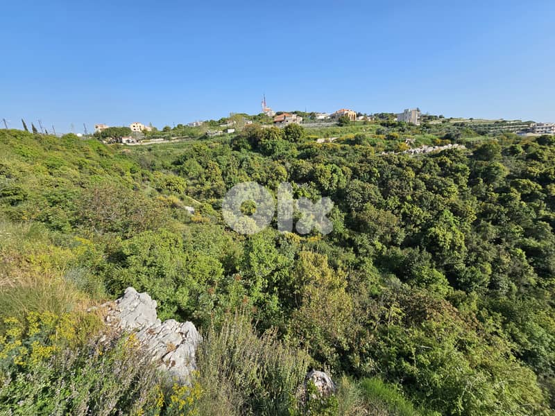 RWB296MT - 5,400sqm Land for sale in Maad Jbeil 3