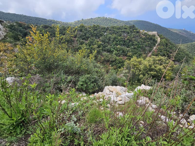 RWB295MT - Three Lands for sale in Breij Jbeil 1