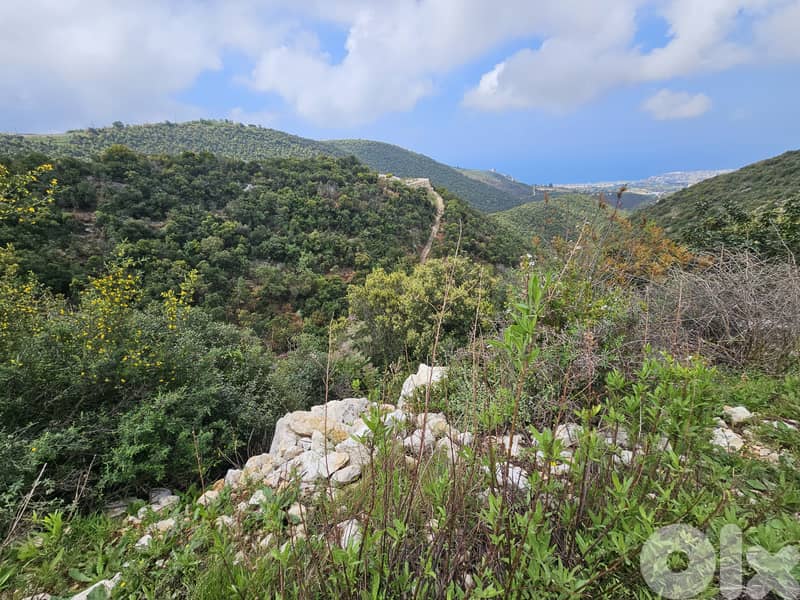 RWB295MT - Three Lands for sale in Breij Jbeil 2