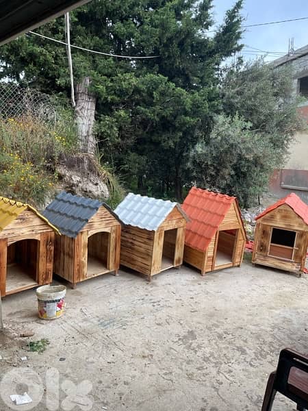 All types of dog houses available جميع انواع بيوت الكلاب 0