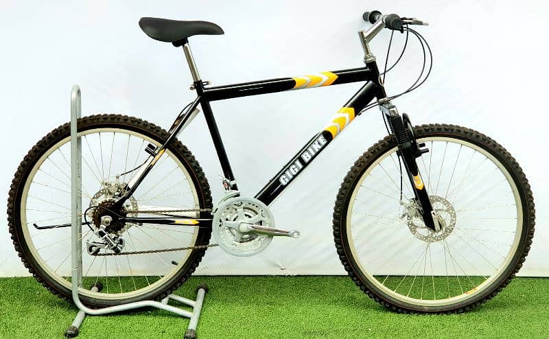 gigi bike 26 Italy bike 1