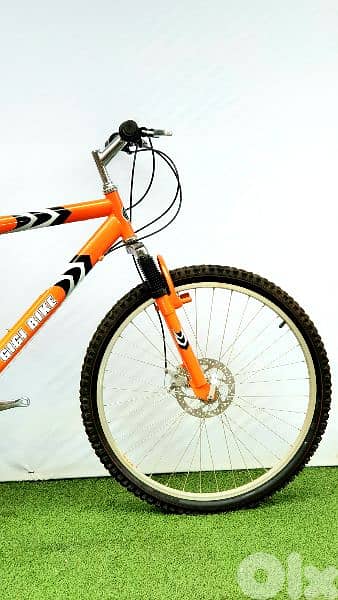 gigi bike 26 Italy bike 2