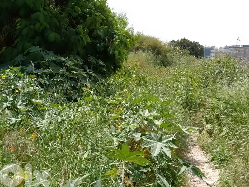 1800 Sqm | Land For Rent Or Sale In Sin El fil أرض للايجار في سن الفيل 0