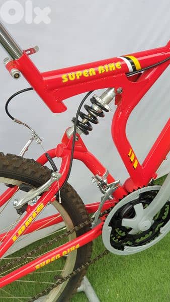 Louis mtb bike 26 Double Suspension 6