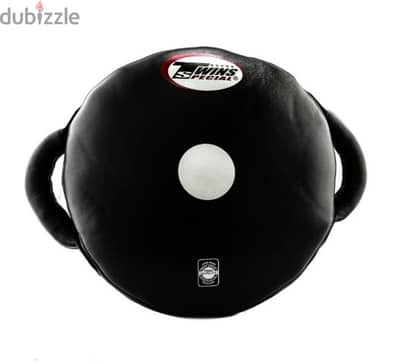 Twins Special Heavy punching pad