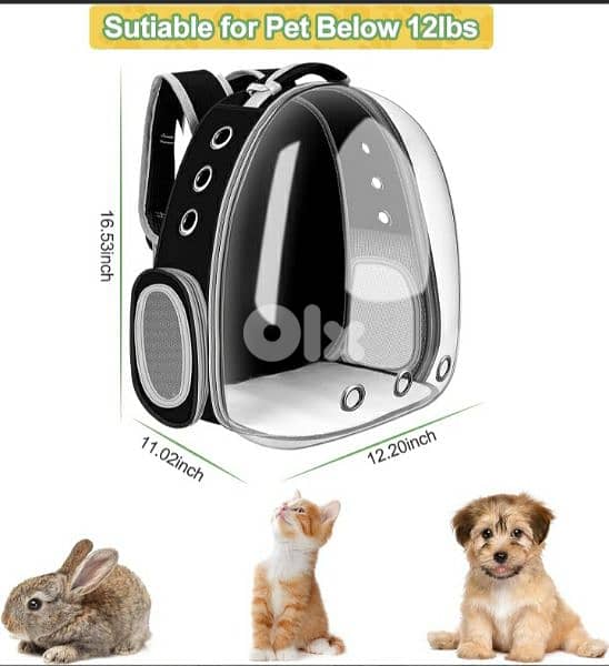 FPVERA Black Cat Backpack Carrier:Transparent for Traveling 4$delivery 0
