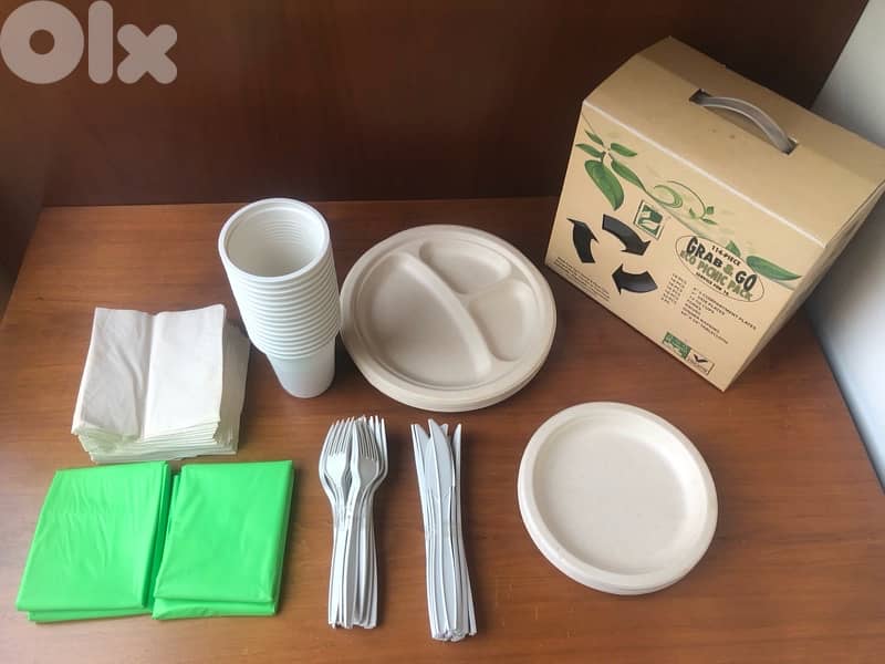 Didposable Biodegradable tableware and cutlery for picnic 0