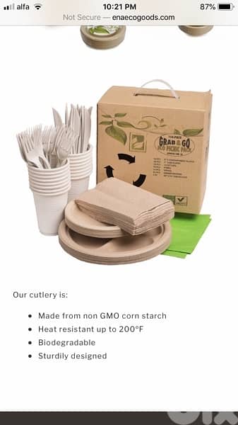 Didposable Biodegradable tableware and cutlery for picnic 1
