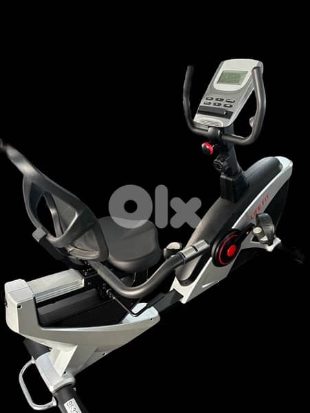 Deluxe Recumbent bike 2