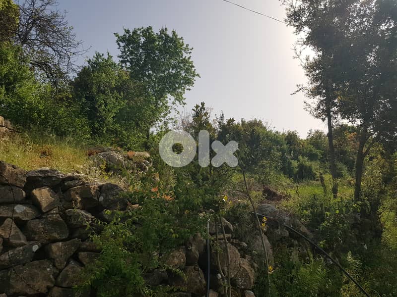 RWK402CA - Land For Sale In Jouret-El-Termoss أرض للبيع في جورة الترمس 4