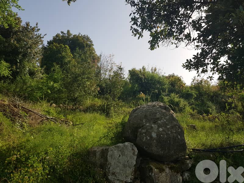 RWK402CA - Land For Sale In Jouret-El-Termoss أرض للبيع في جورة الترمس 5