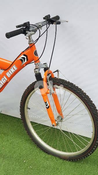 gigi bike Italy mtb 24 new 3